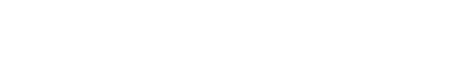 light logo